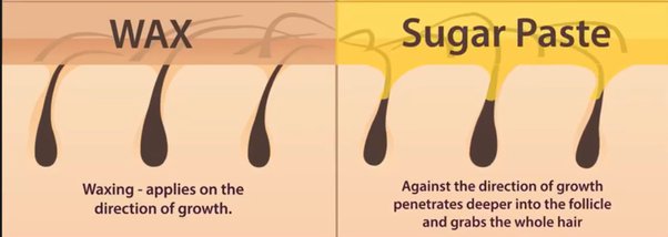 Bconscious Naturals™ Organic Home Hair Removal Sugar Paste
The All-Natural Solution for Face & Body Hair Removal – Safe for PCOS & Hirsutism