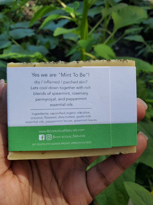 Bconscious Naturals™ We're Mint To Be" Fresh Skin Relief Soap Bar

Soothing, Moisturizing & Calming Relief for Dry, Inflammed Skin - Perfect for Sensitive Skin, Mommies-to-Be & All Skin Types!